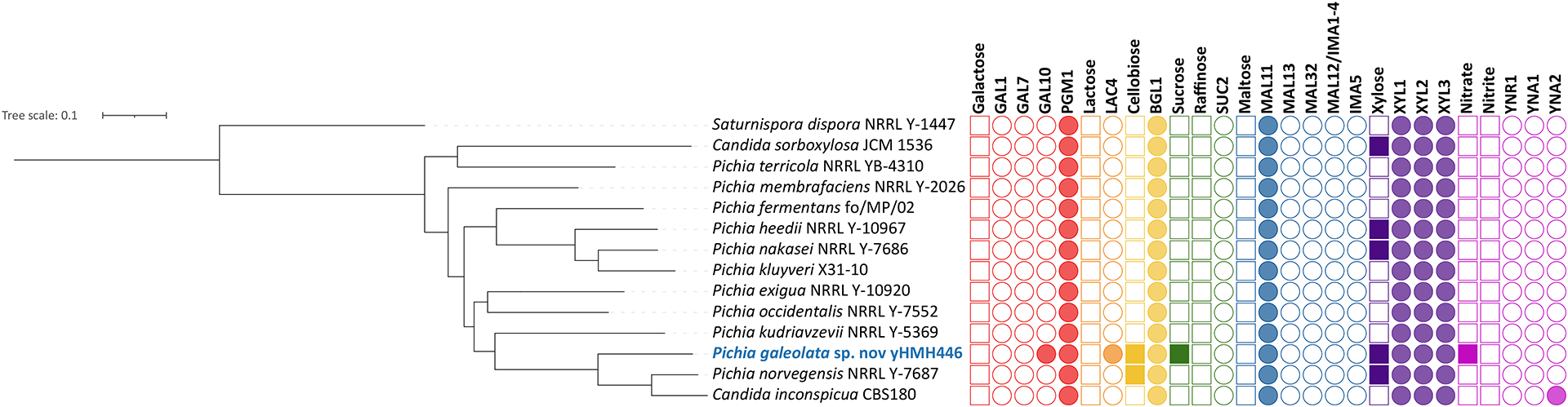 Figure 2: