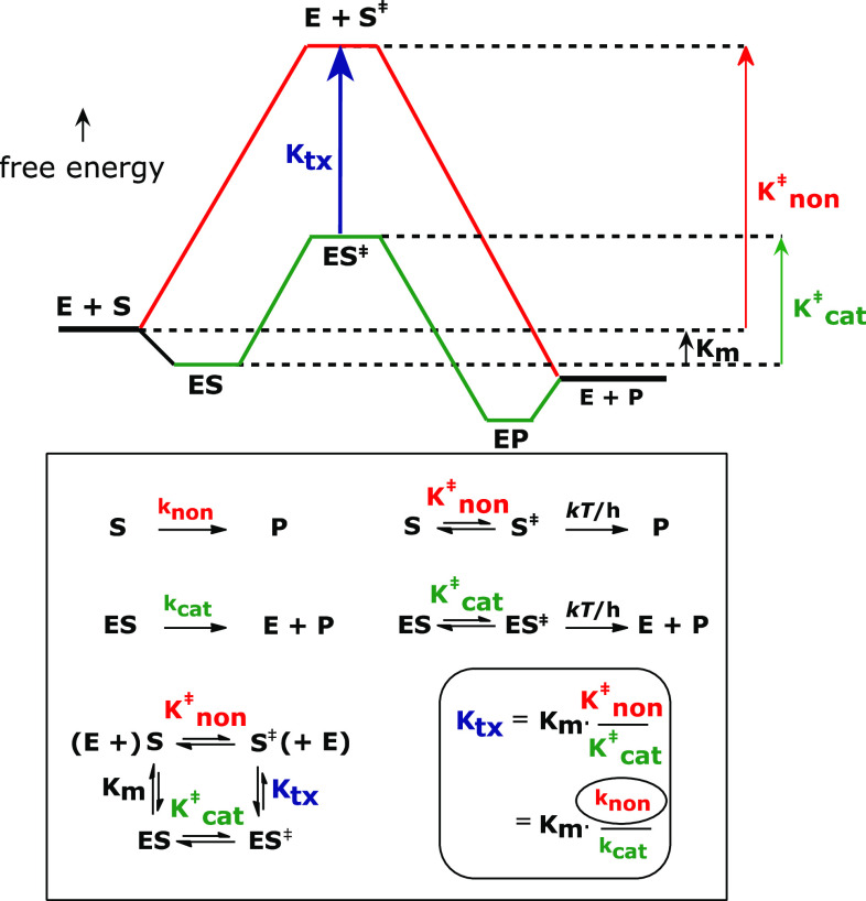 Fig. 1