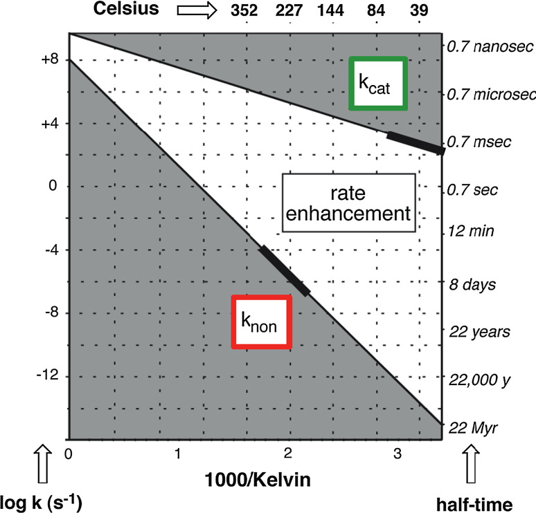 Fig. 6