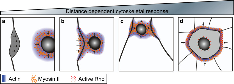 Fig. 3