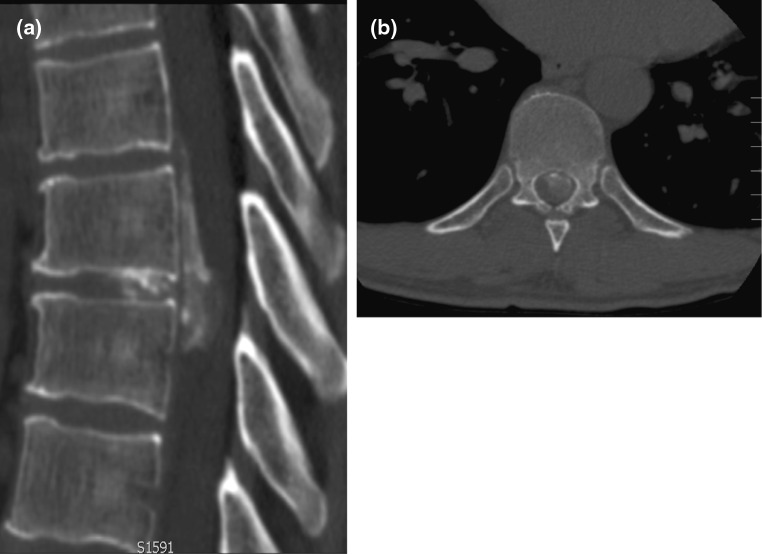 Fig. 6