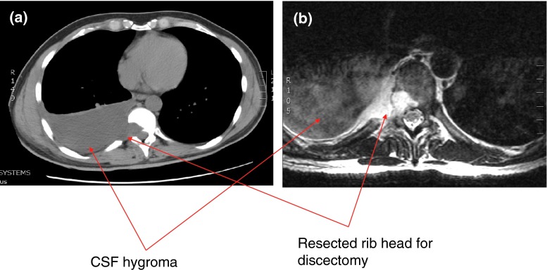 Fig. 4