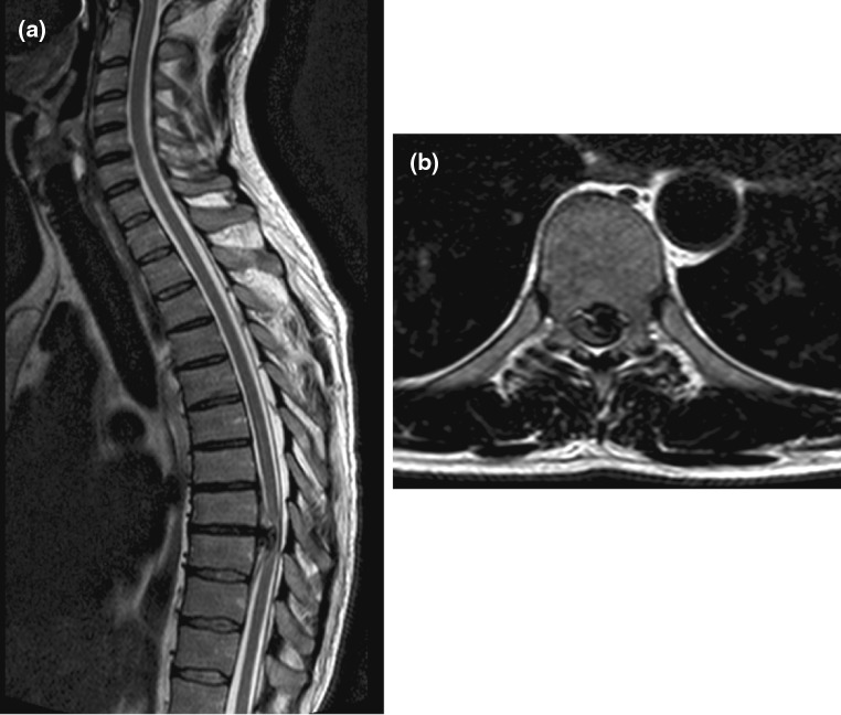 Fig. 5