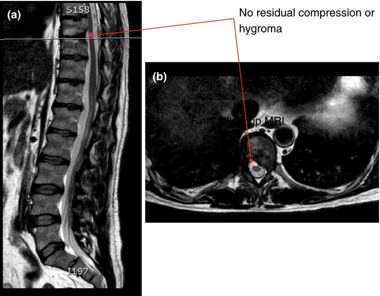 Fig. 8