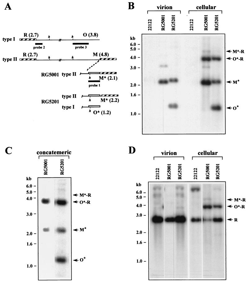 FIG. 1.