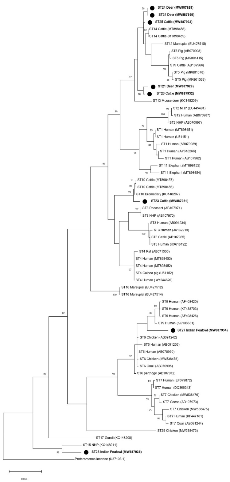 Figure 4