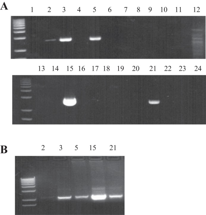 Fig. 5.