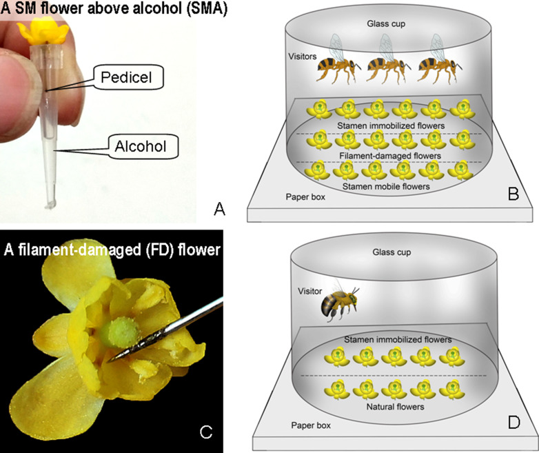 Figure 1—figure supplement 1.