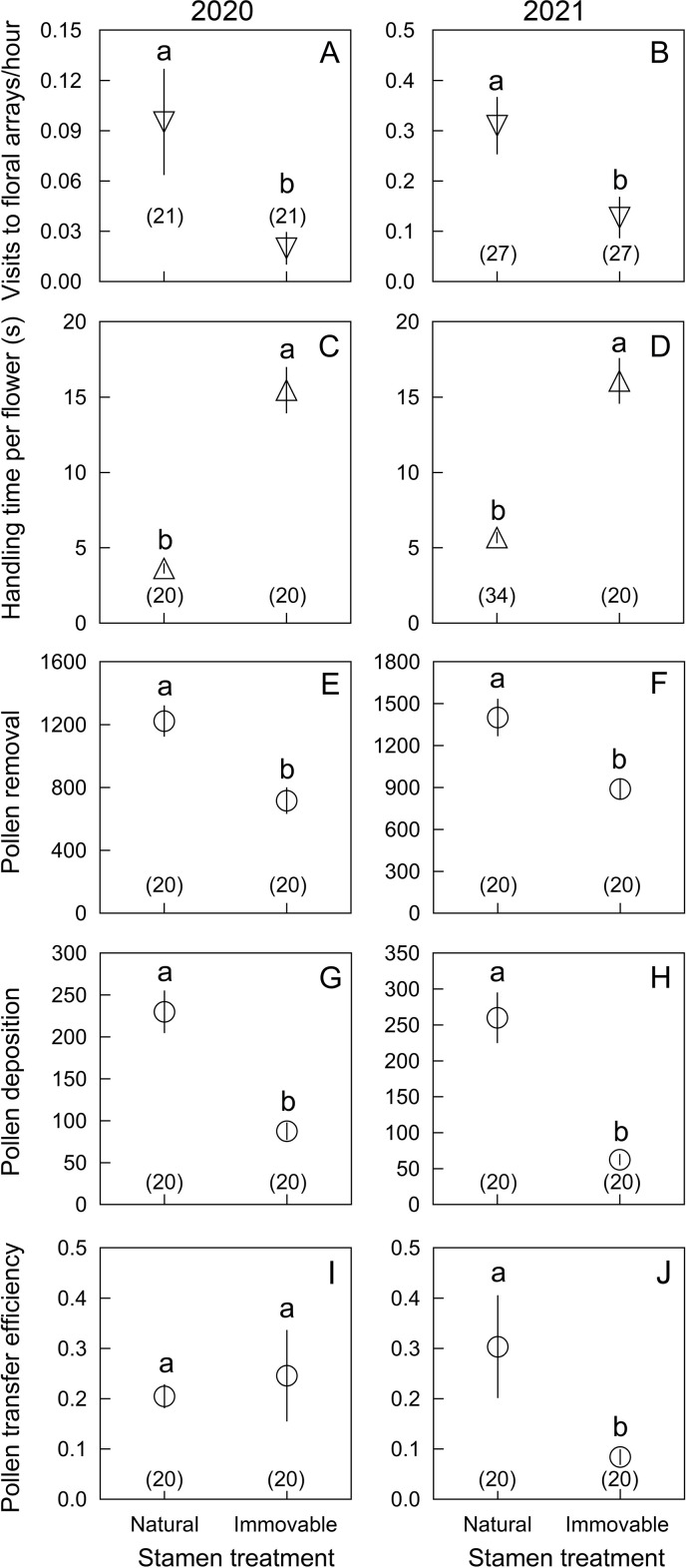 Figure 5—figure supplement 1.