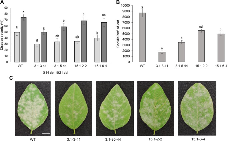 Fig. 4