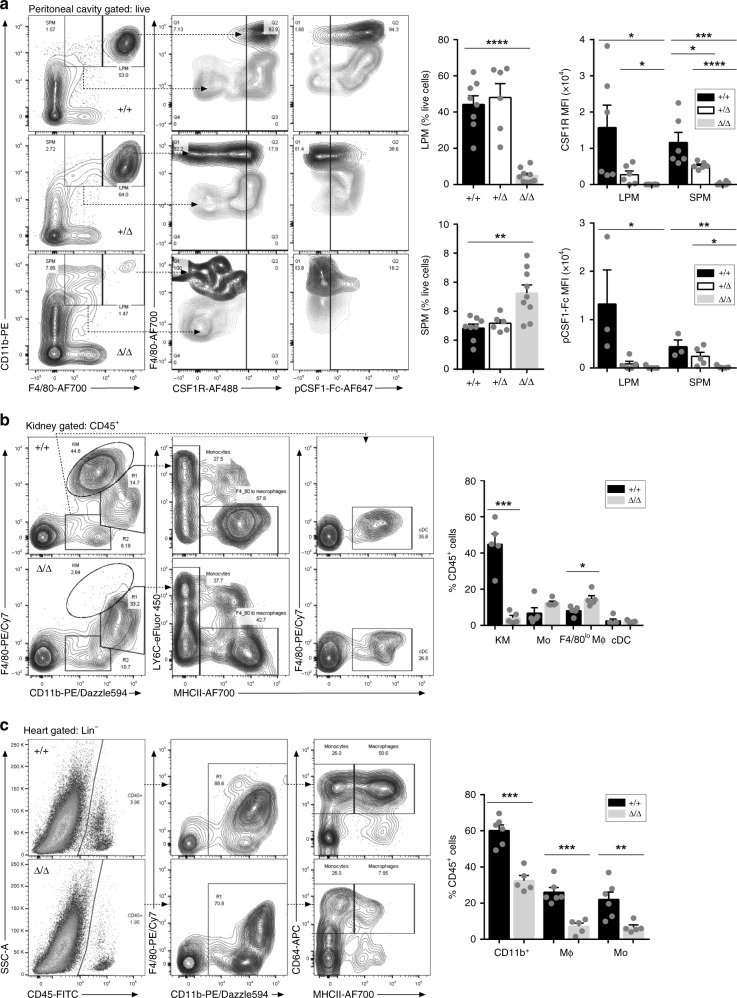 Fig. 5