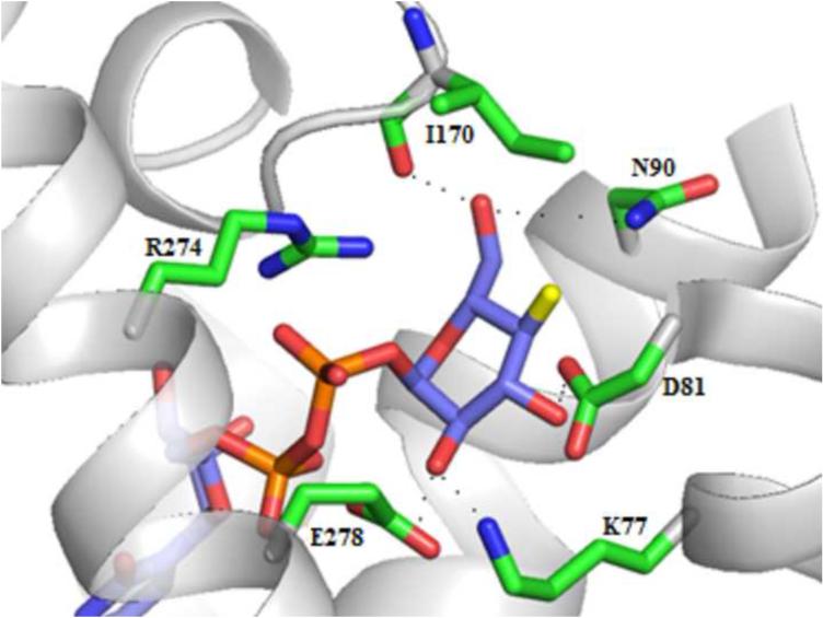 Figure 6