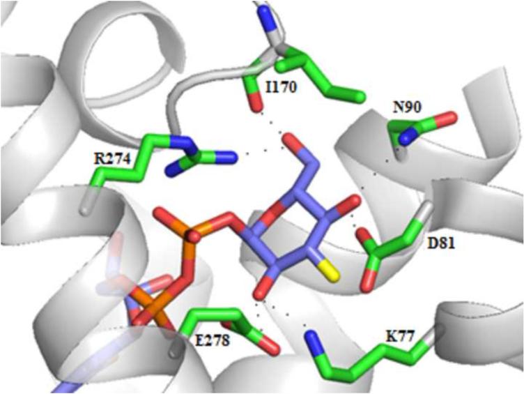 Figure 6