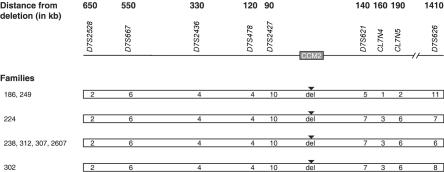 Figure  5. 