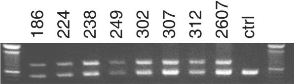 Figure  3. 