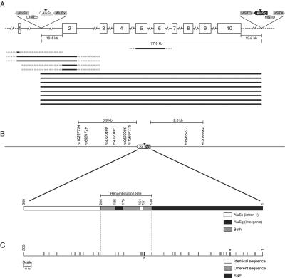 Figure  4. 