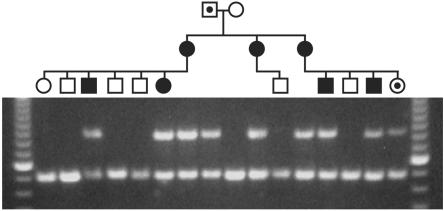 Figure  2. 