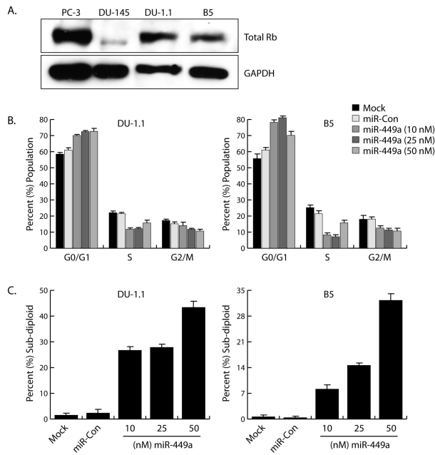 Figure 3: