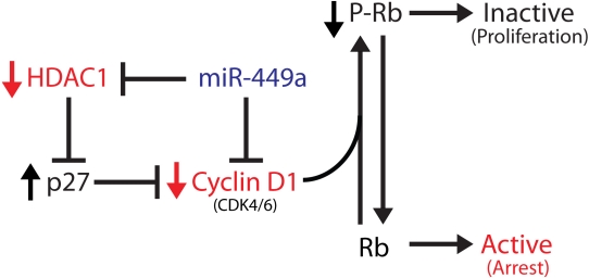 Figure 7: