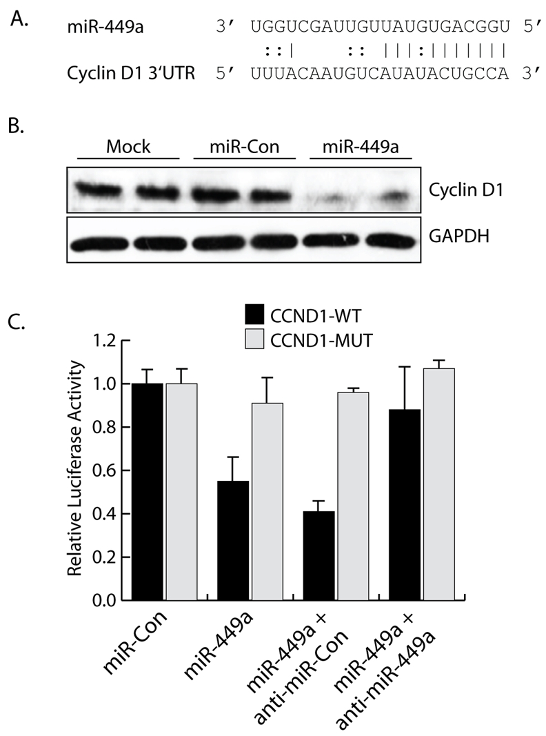 Figure 5: