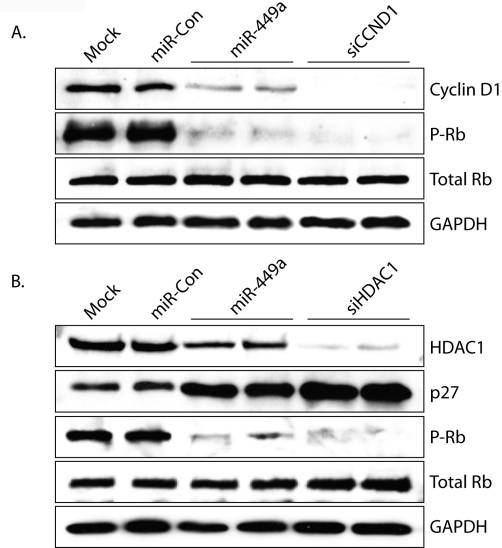 Figure 6: