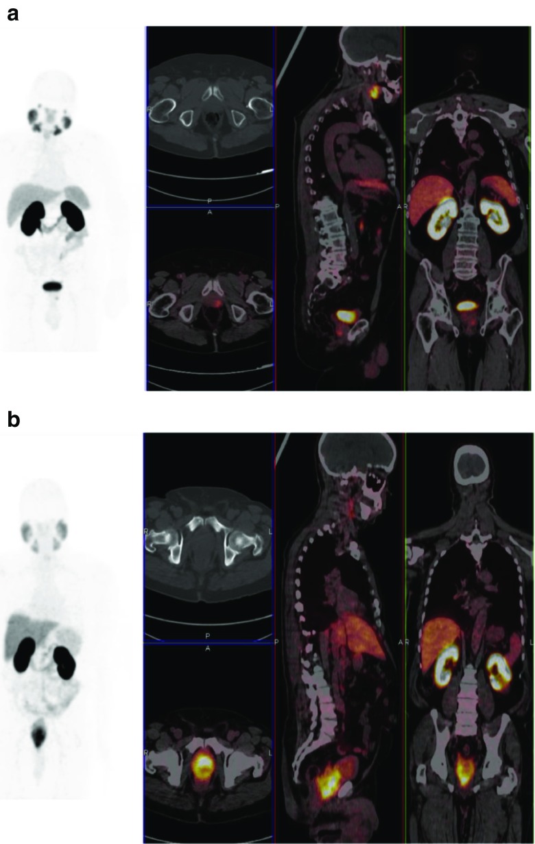 Fig. 5