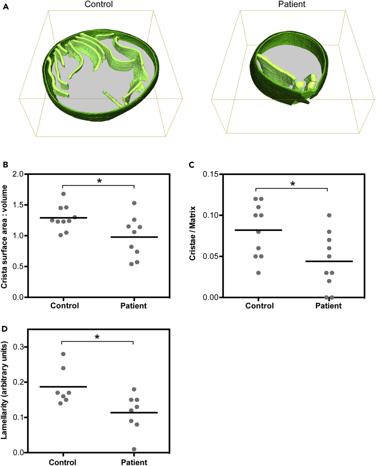 Figure 3