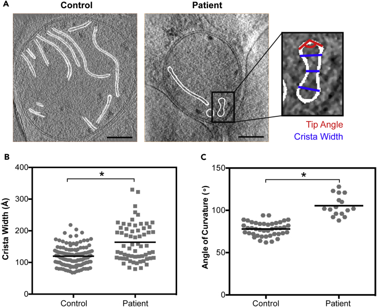 Figure 2