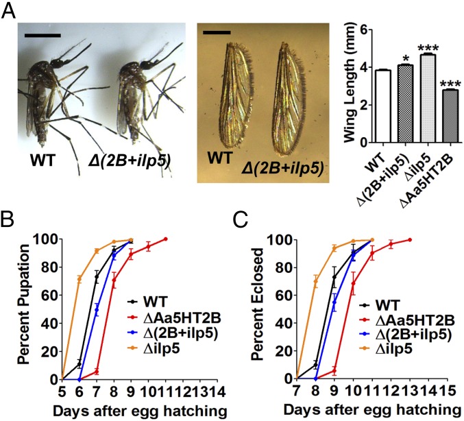 Fig. 9.