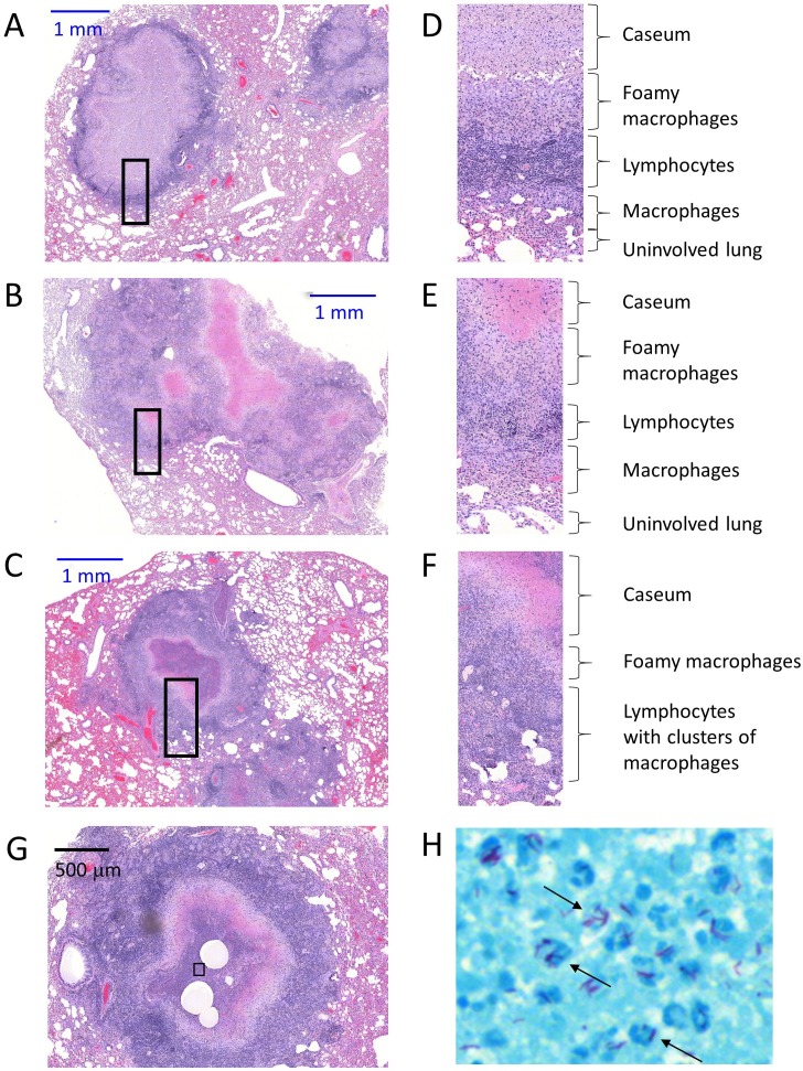 Figure 2—figure supplement 1.