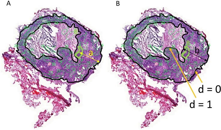 Figure 3—figure supplement 3.