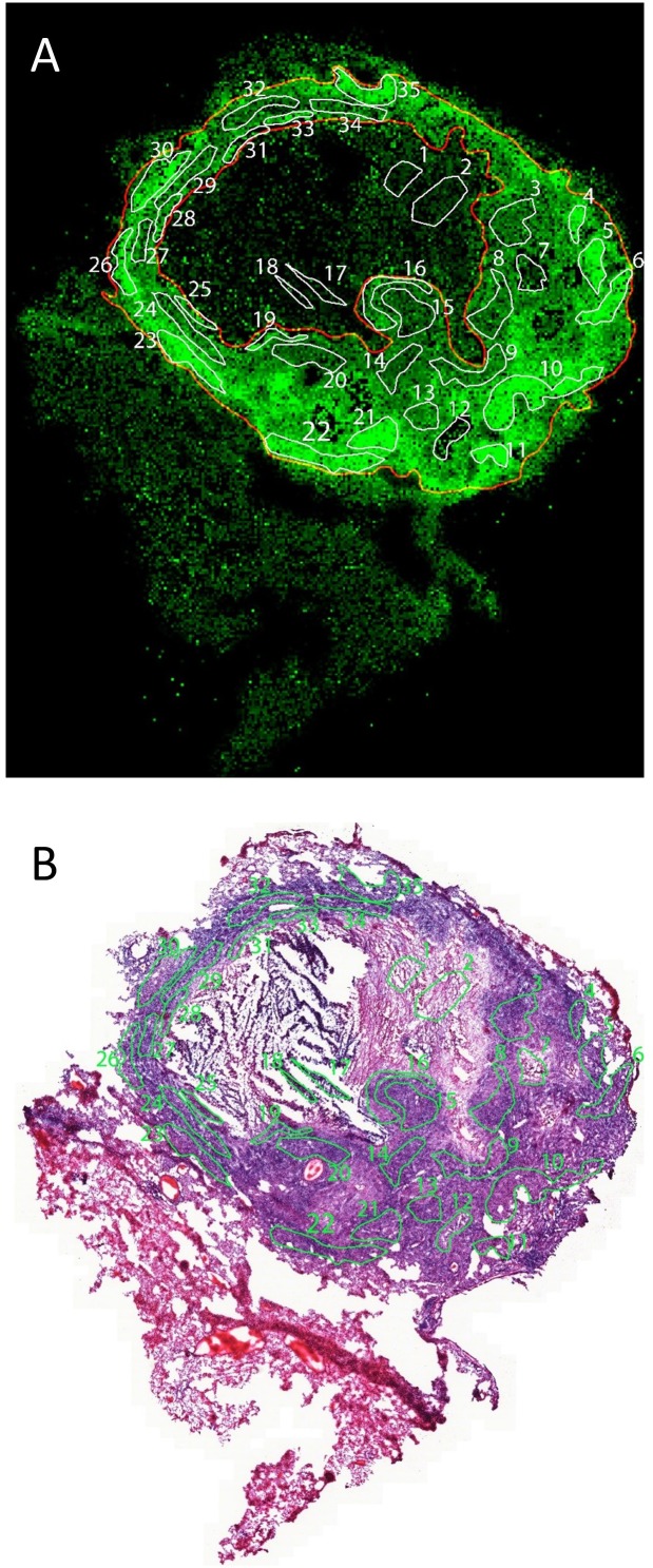 Figure 3—figure supplement 2.