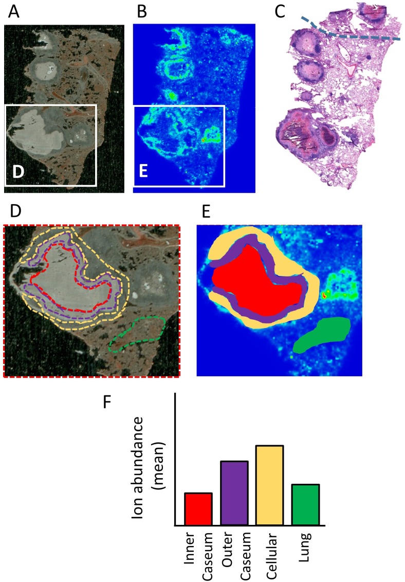 Figure 1—figure supplement 1.