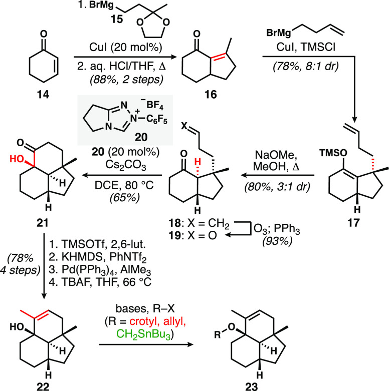 Scheme 2