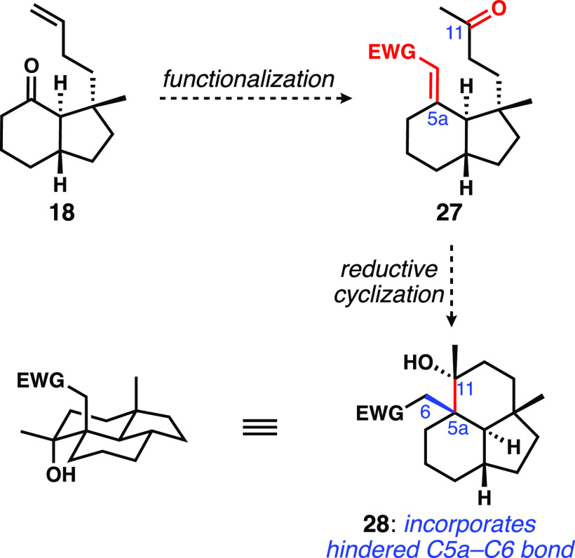 Scheme 3