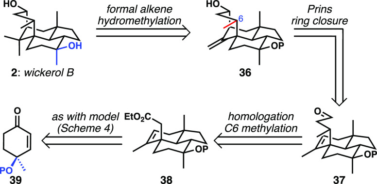 Scheme 5