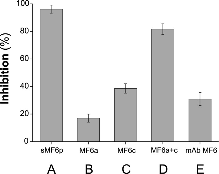 Fig 6