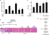 Figure 10.