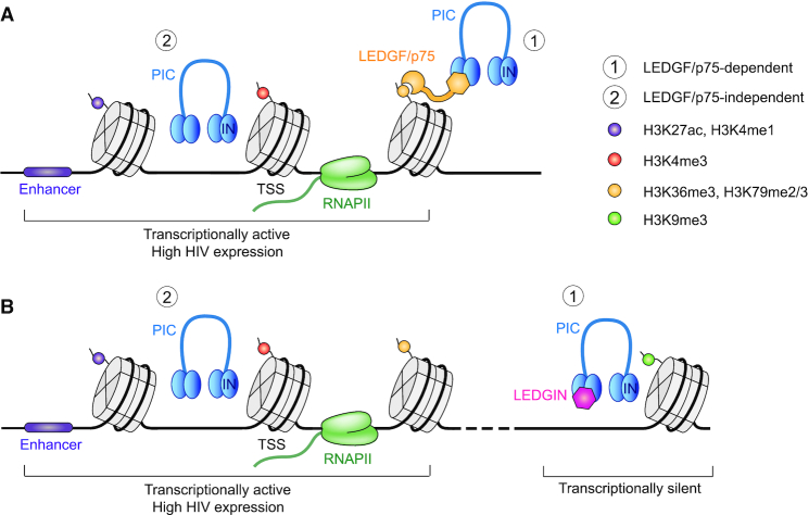 Figure 7.