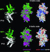 Fig. 3.