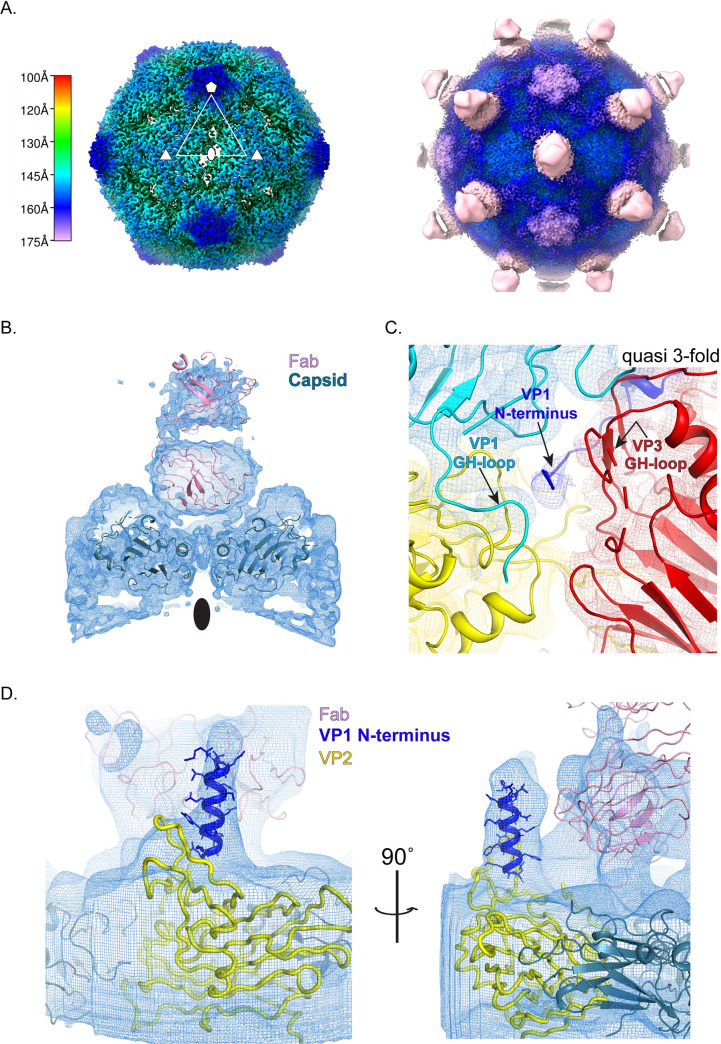 Fig 4