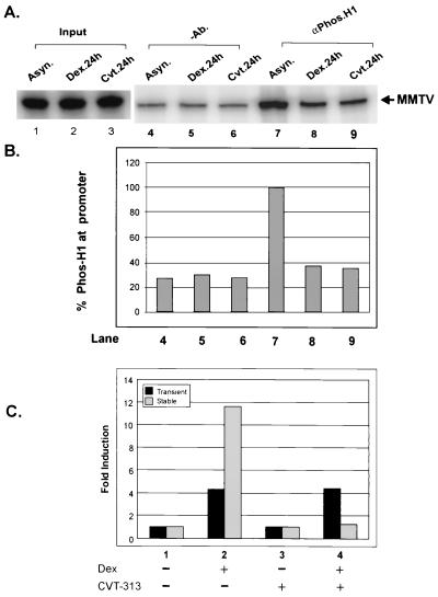 FIG. 6