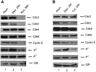 FIG. 7