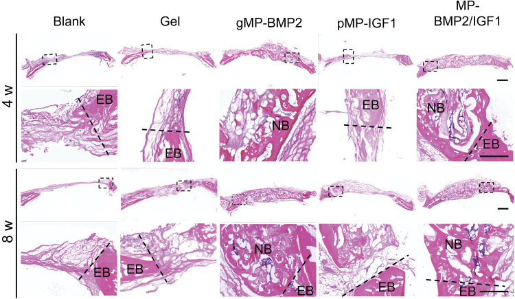 FIG. 4.