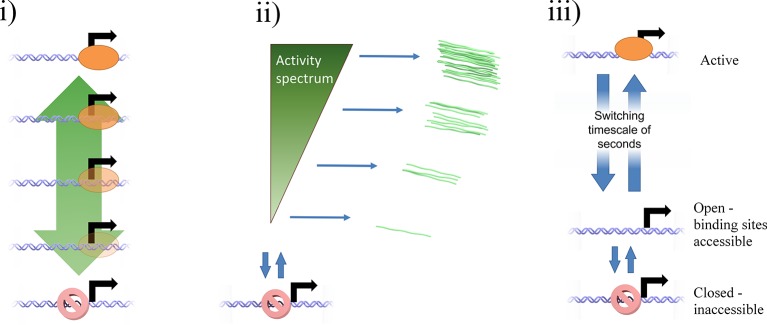 Figure 6—figure supplement 1.