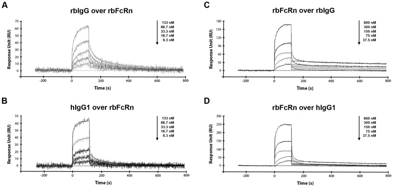 Fig 4