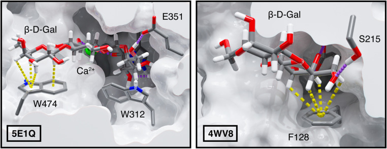 Fig. 9