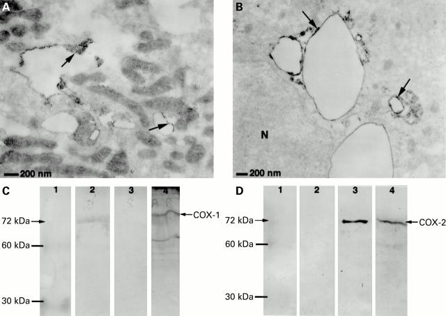 Figure 3  