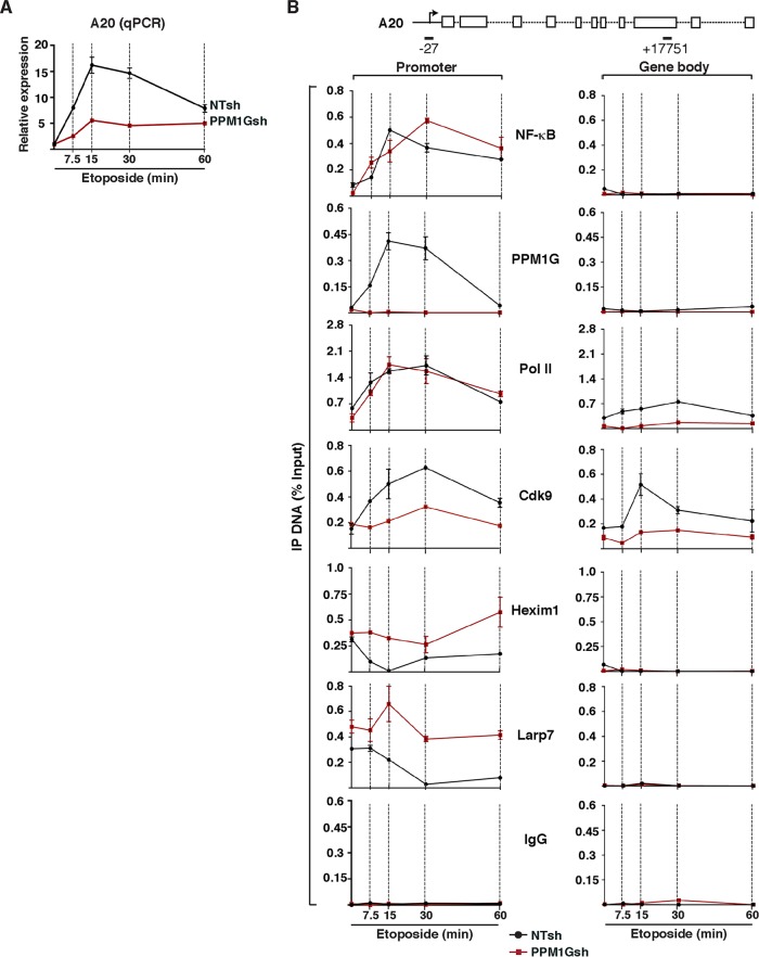 FIG 7