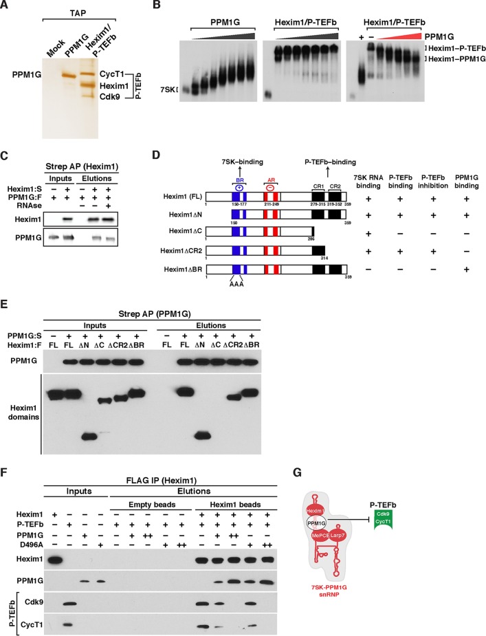 FIG 3